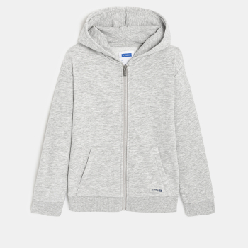Sweat zippé à capuche gris garçon