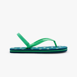 Crocodile flip flops