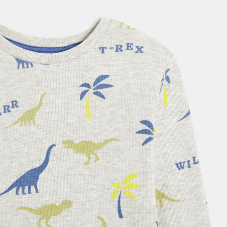 Boy's grey 2-piece printed jersey pyjamas