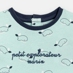 Baby boy's blue whale...